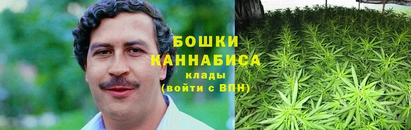 Конопля OG Kush  Заинск 